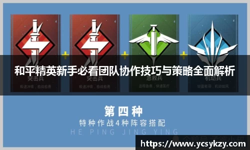 和平精英新手必看团队协作技巧与策略全面解析